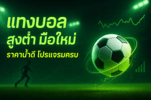 แทงบอล สูงต่ำ มือใหม่
